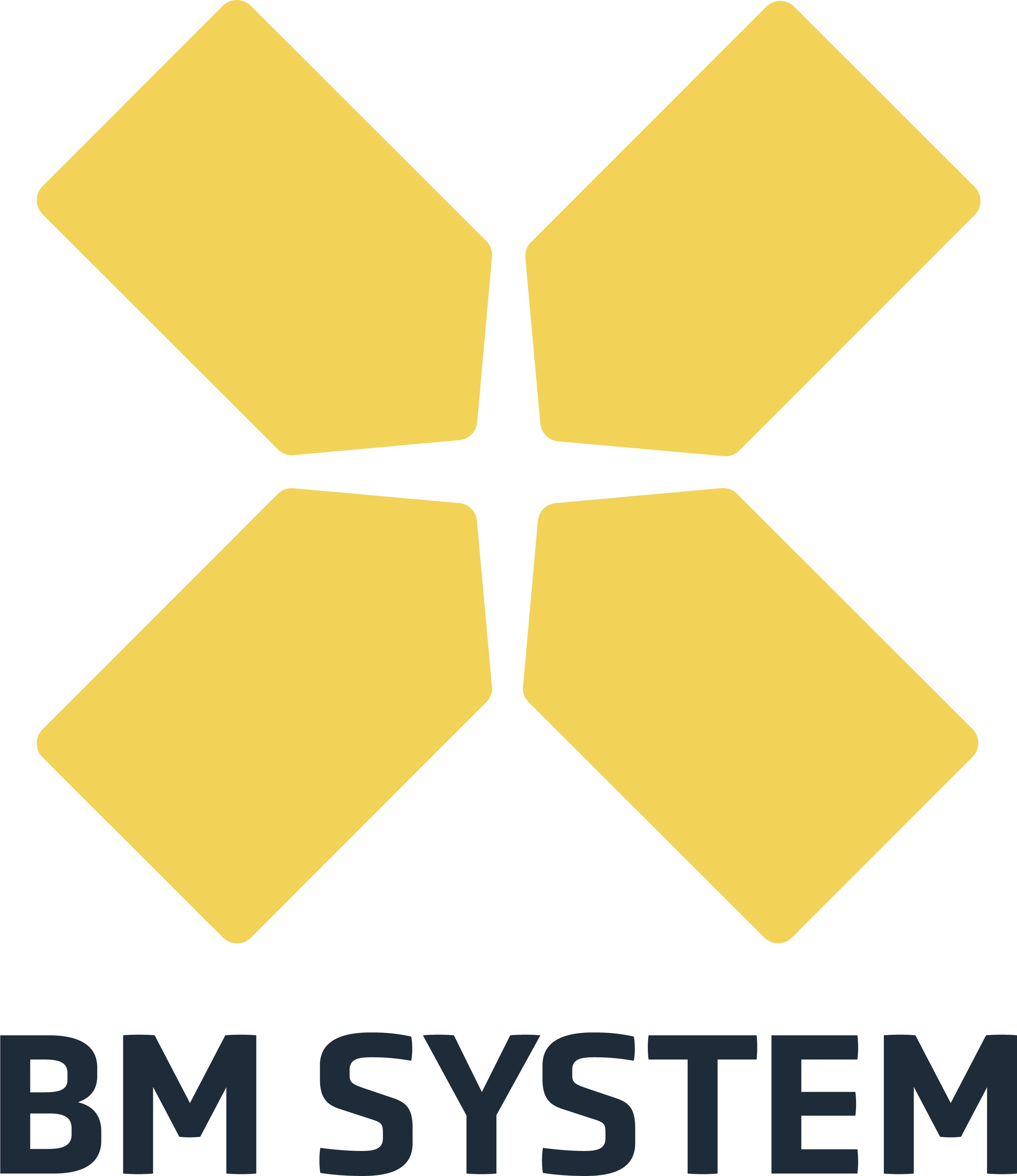 BM Systems logo